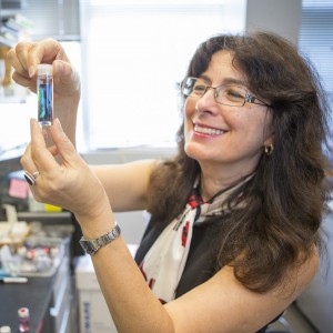 Congratulations to Joanna Aizenberg for being elected to the National Academy of Sciences