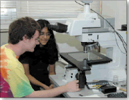 A Confocal Profilometer