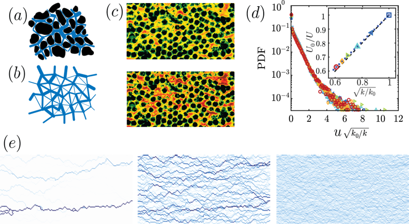 Pore-level flow velocity magnitude illustrations