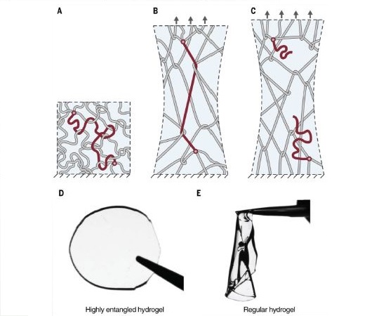 Fracture, Fatigue, and Friction of Polymers in which entanglements greatly outnumber cross-links