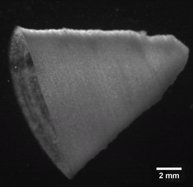 3D-printed heart muscle beating through fiber-infused ink