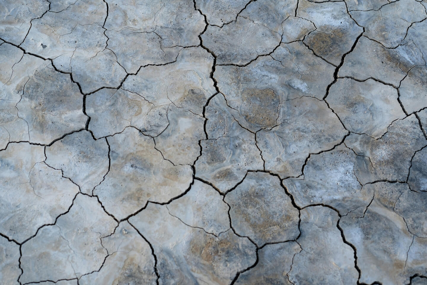 The life and death of cracks