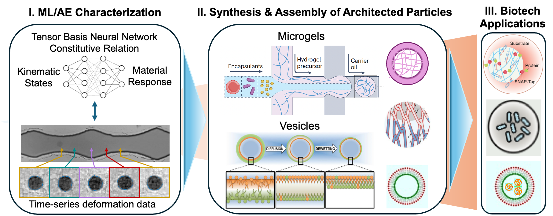 Three collaborative Interdisciplinary Research Groups: ML/AE characterization, synthesis and assembly of architected particles, and biotech applications