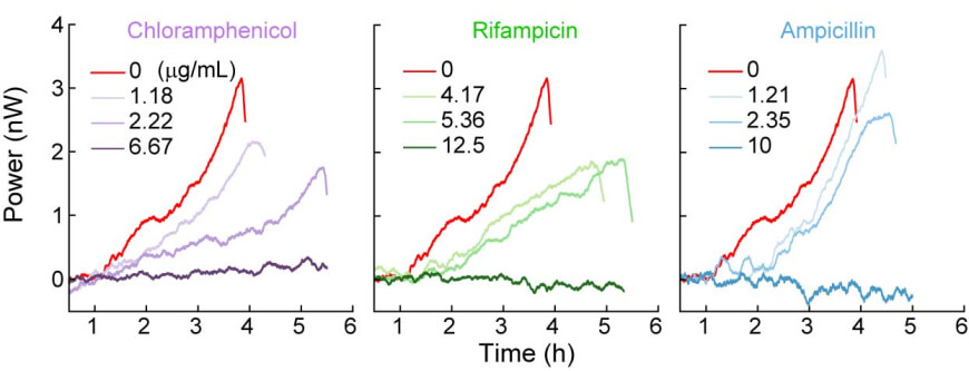 a pico-calorimeter is used to measure the heat flow from bacteria exposed to three types of antibiotics