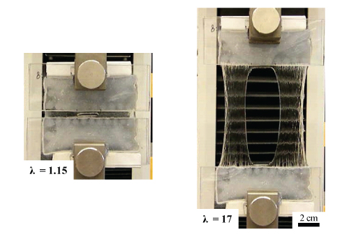 Cracked hydrogel