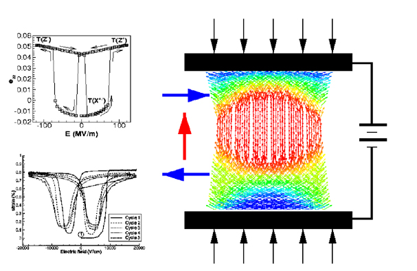 Ab-initio Multiscale Simulation of Piezoelectric Response