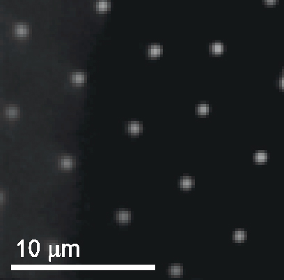 Attractive Interactions Between Like-Charged Colloidal Particle on Surfaces