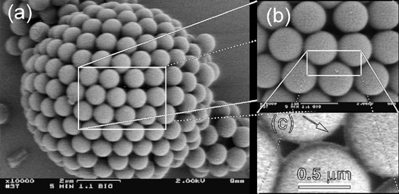 colloidosomes