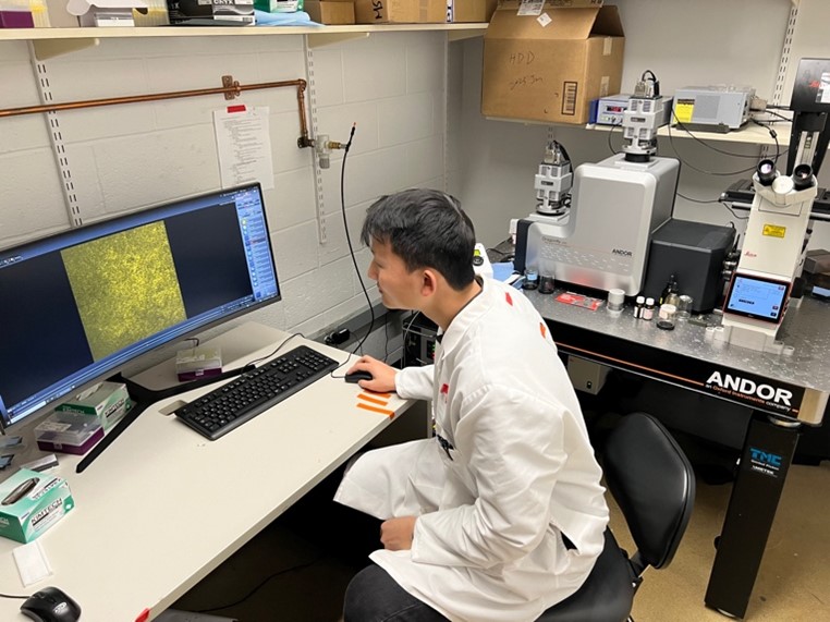 Andor/Leica Spinning-disk Confocal Microscope