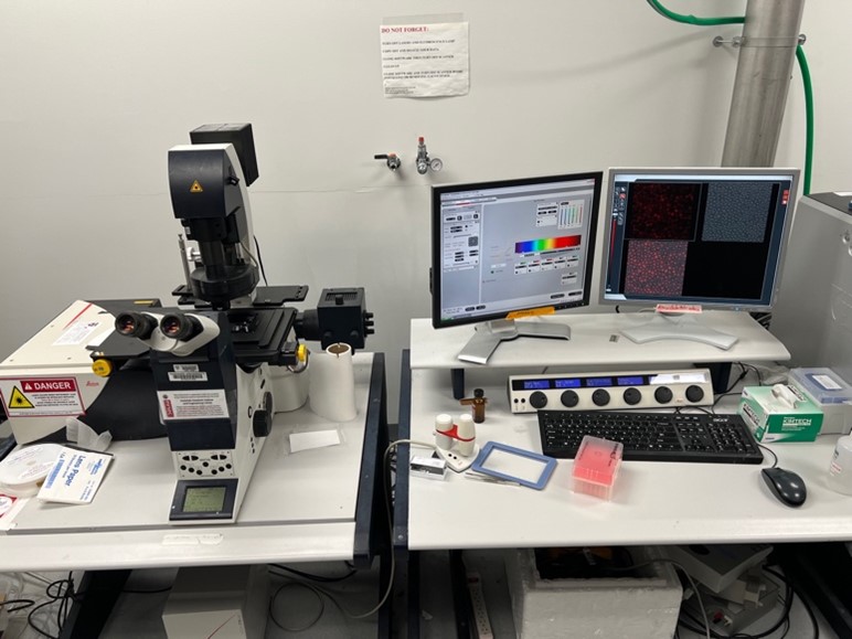 Leica SP5 Confocal Microscopes