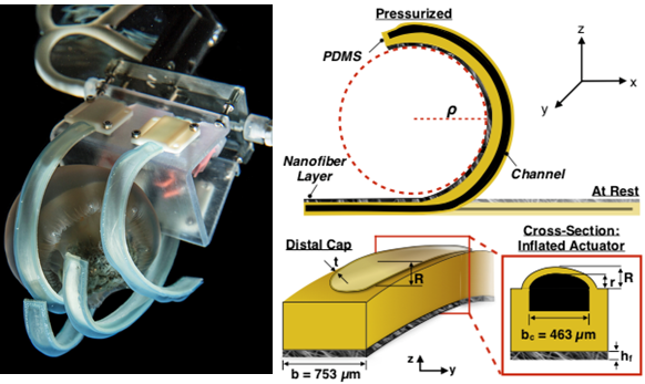 A team at the Harvard MRSEC led by Wood, Vlassak, and Parker has developed a novel architecture for soft fluidic composite actuators that merges the best features from soft lithography and polymer nanofibers.