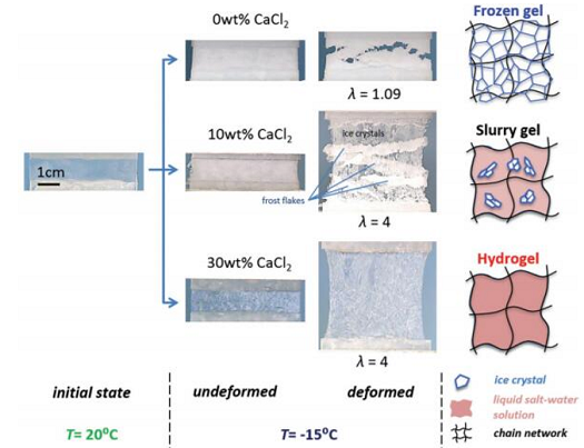 Hydrogel behavior in subzero environment illustrated for three different CaCl<sup>2</sup>-containing gels.