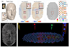 Predictive design method used to guide multimaterial 4D printing