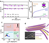 Perfluorinated Elastomers for Bioelectronics