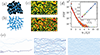 Dynamics of Flow Networks in Porous Media