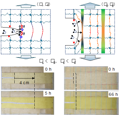 Degradable composites illustrations