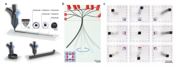 Printing reconfigurable bundles of dielectric elastomer fibers illustrations