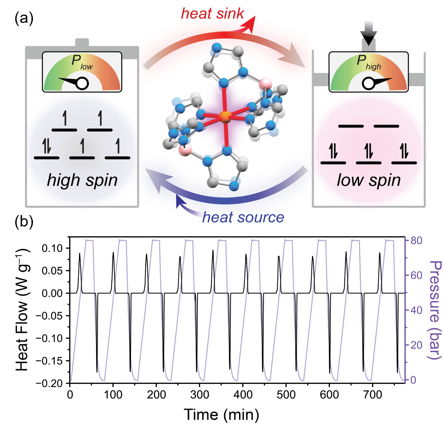 Driving Barocaloric Effects in a Molecular Spin-Crossover Complex