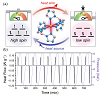 how pressure-induced thermal changes (barocaloric effects)