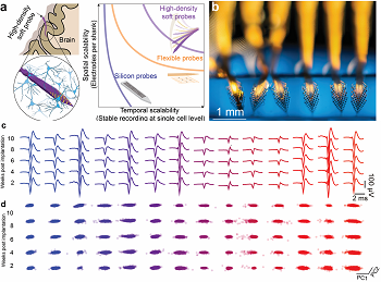 Soft bioelectronics for <em>in vivo</em> neural probes