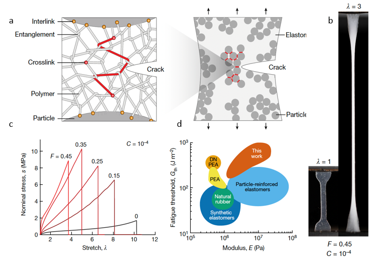 Filled elastomers with enhanced fatigue resistance