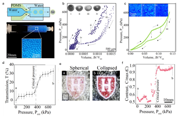 Programmable metafluids via capsule buckling