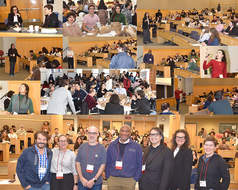 Ambidirectional liquid crystal elastomers.