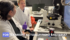 Microfluidic encapsulation of plant extracts.