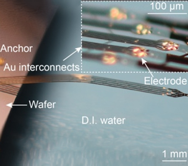 Plastic-Elastomer Heterostructure for Robust Flexible Brain-Computer Interfaces