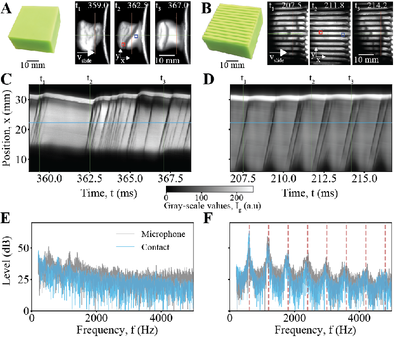 Squeaking of flat and patterned elastomers.