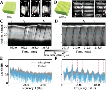 Squeaking at Soft-Rigid Frictional Interfaces