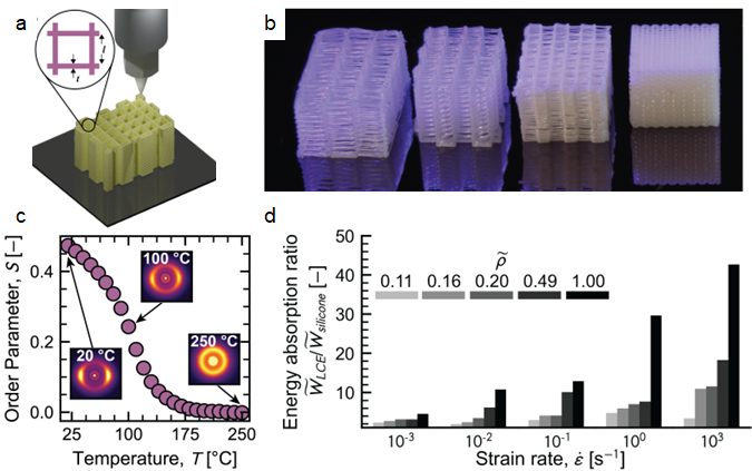 Architected LCE lattices.