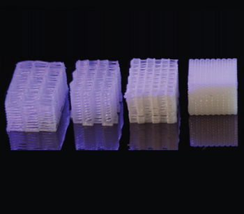 Architected Liquid Crystal Elastomer Lattices with Programmable Energy Absorption