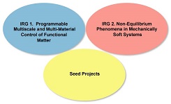 Three collaborative Interdisciplinary Research Groups