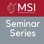 MSI Seminar
