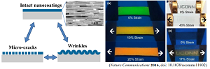 <em>Nature Communications</em> <strong>2016</strong>, doi: 10.1038/ncomms11802