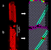 image of Using Frustration to Design New Chiral Structures for Sensing Applications