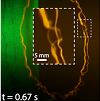 image of Colliding Smoke Rings: Visualizing Turbulence at New Length Scales