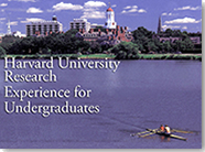 Harvard University REU